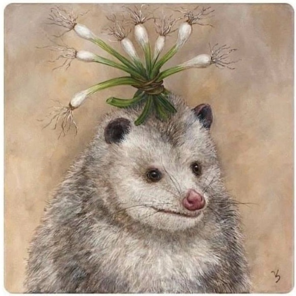 Meet your Posher, Gabriel - Picture 1 of 1